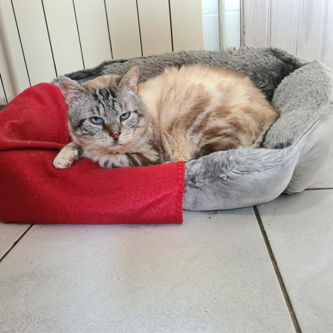 Photo de Madmartigan