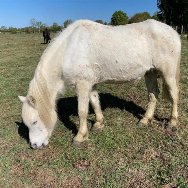 Photo de Pacha du plouy