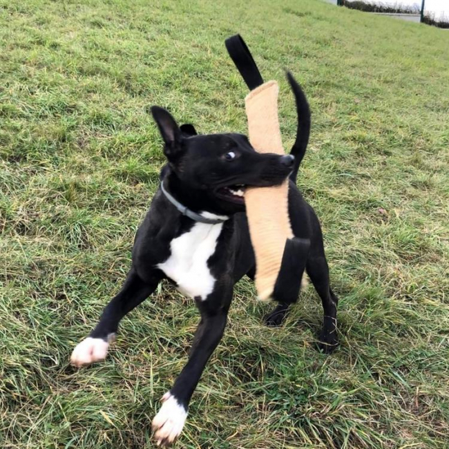 Photo de Raiden dit rainbow