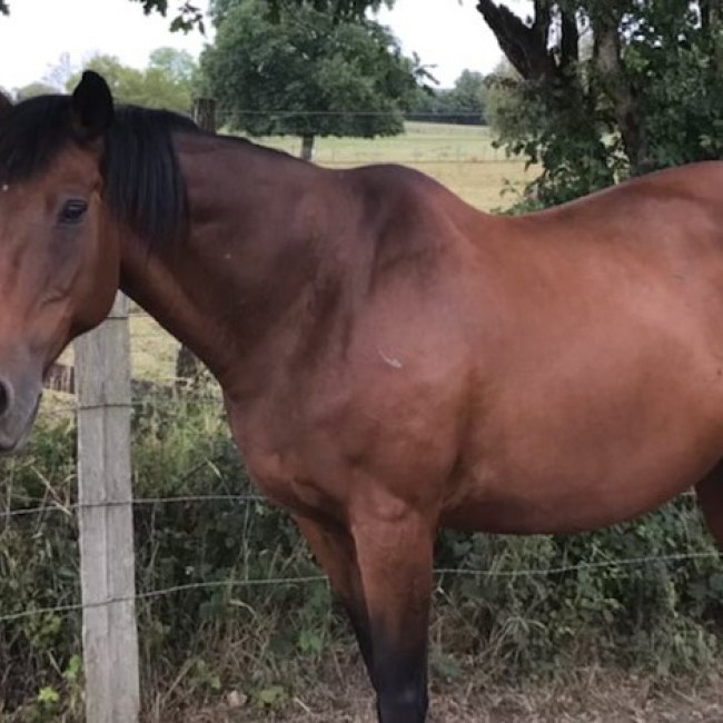 Photo de Dark appeal