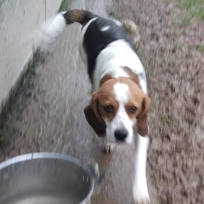 Photo de Sarah réservé