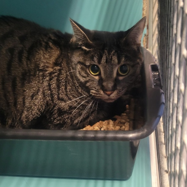 Photo de Velleda dit mimine